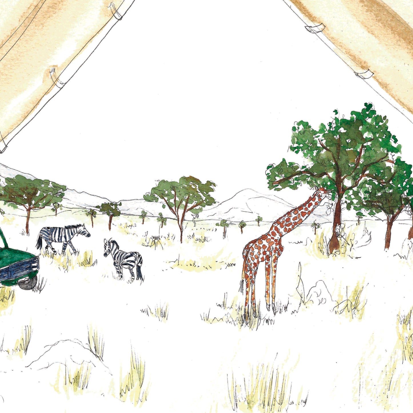 African Safari Card
