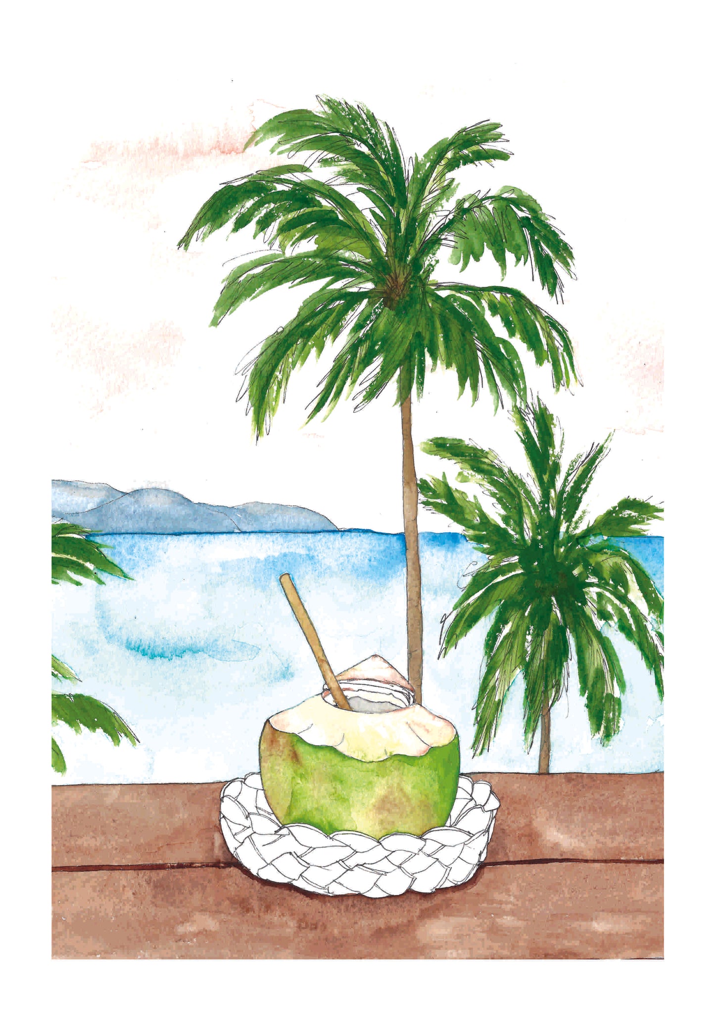 Coconut Drink Art Print