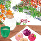 Autumn in Japan Card